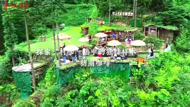  探索“村咖”热中的独特样本—— “猪圈咖啡”