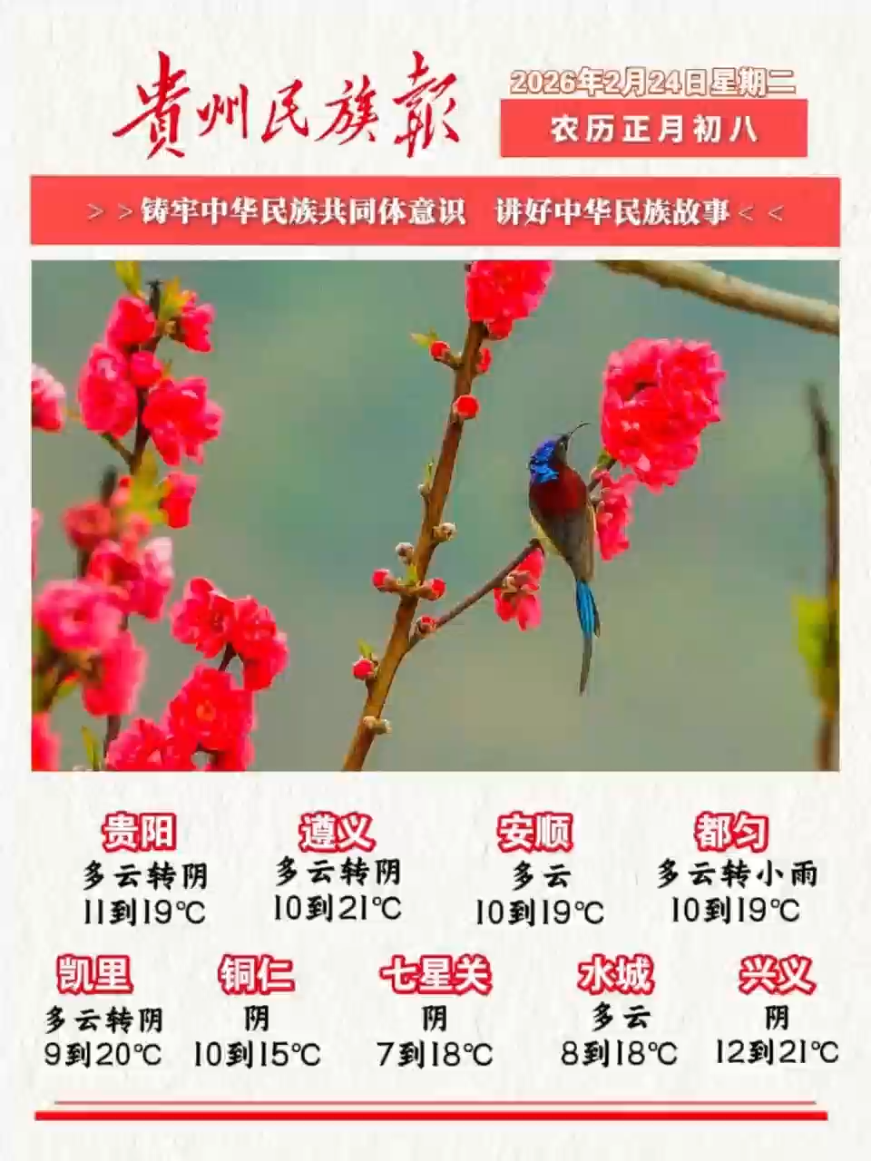  贵州民族报  早报早知道 |早上好，今天是2月24日，欢迎收看贵州民族报新闻速读～#贵州新闻#贵州天气