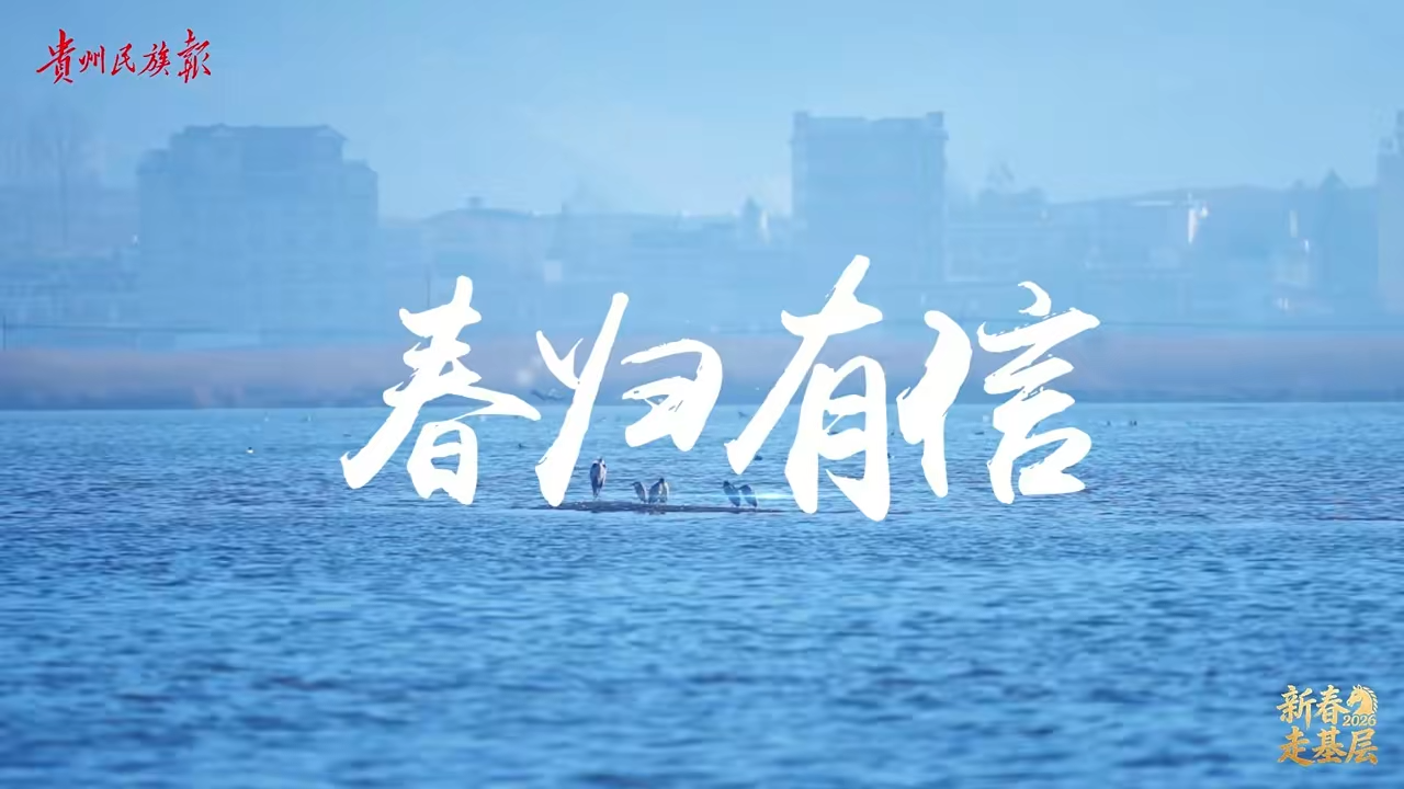  新春走基层│春归有信，青山不负。草海护鸟人的生态约定。 #贵州草海 #护鸟人 #人与自然