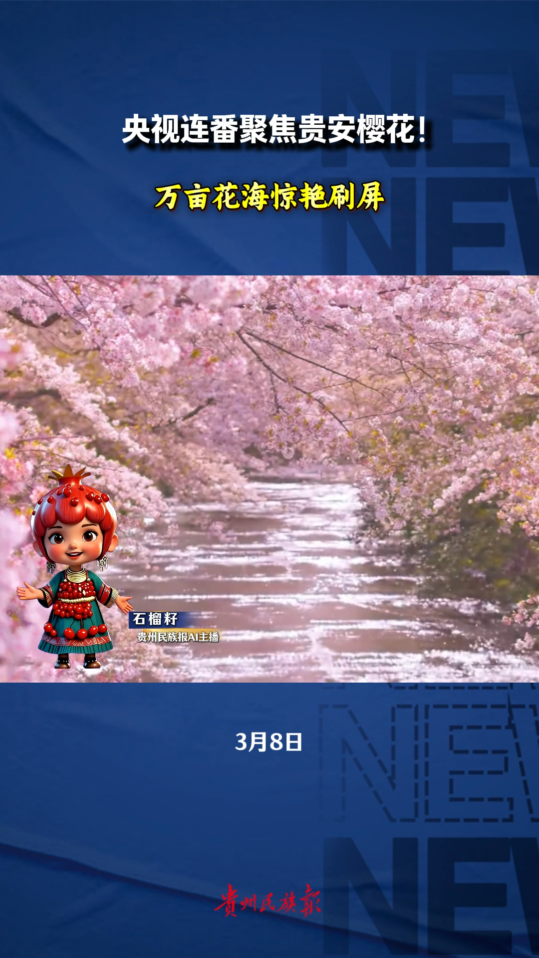  央视连番聚焦贵安樱花！