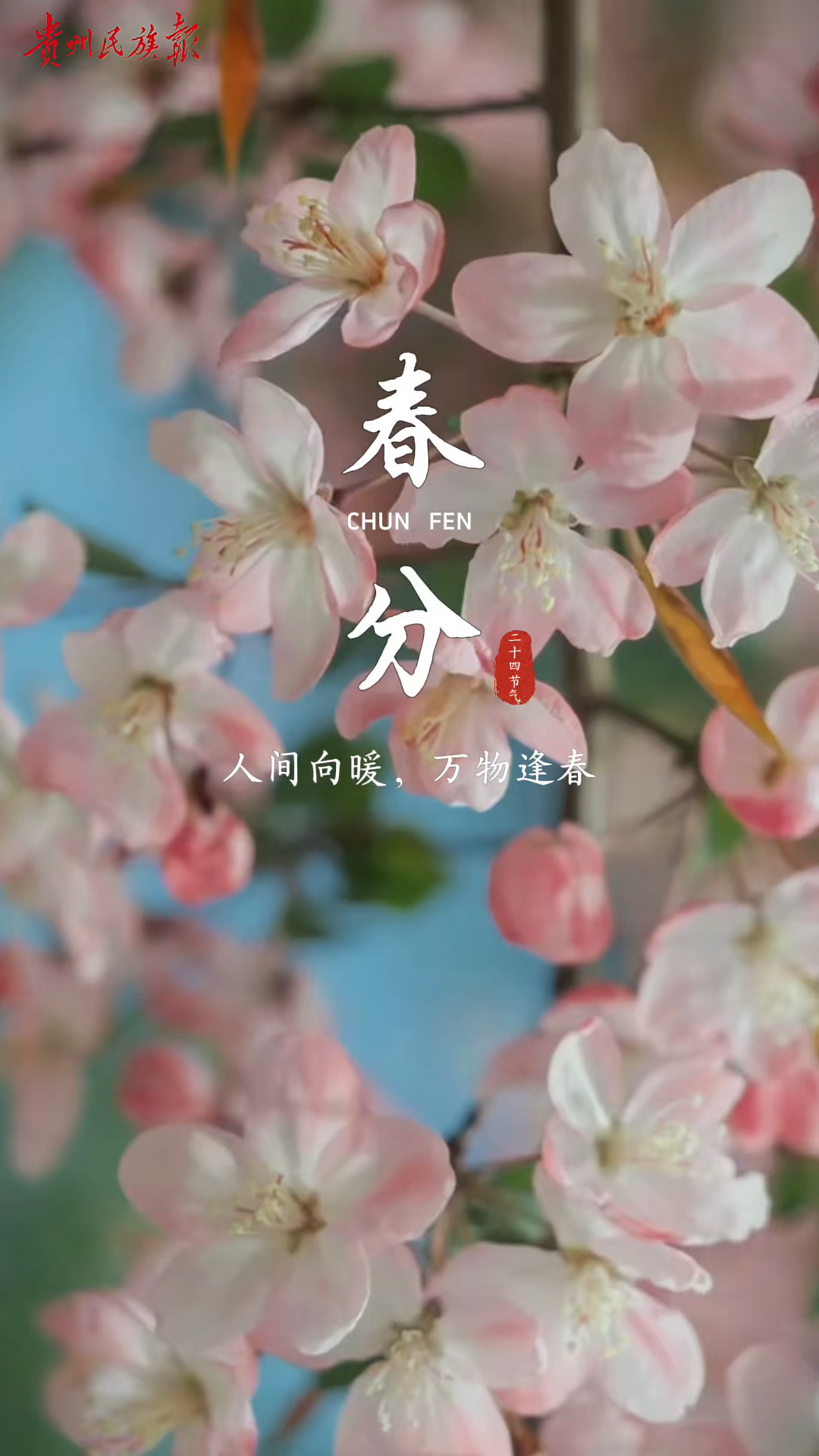  今日春分｜春意萌动  万物更生#中国传统二十四节气#春分 视频由AI生成