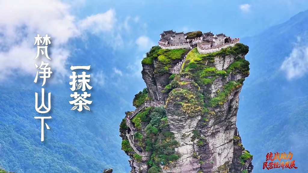  统战助力民营经济发展 | 梵净山下一抹茶 聚力助企开繁花