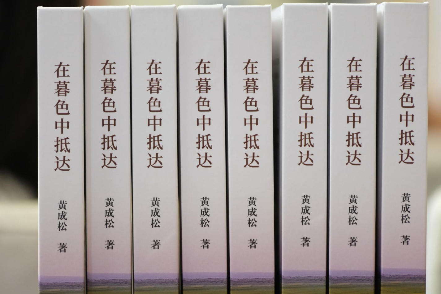 上一篇文章