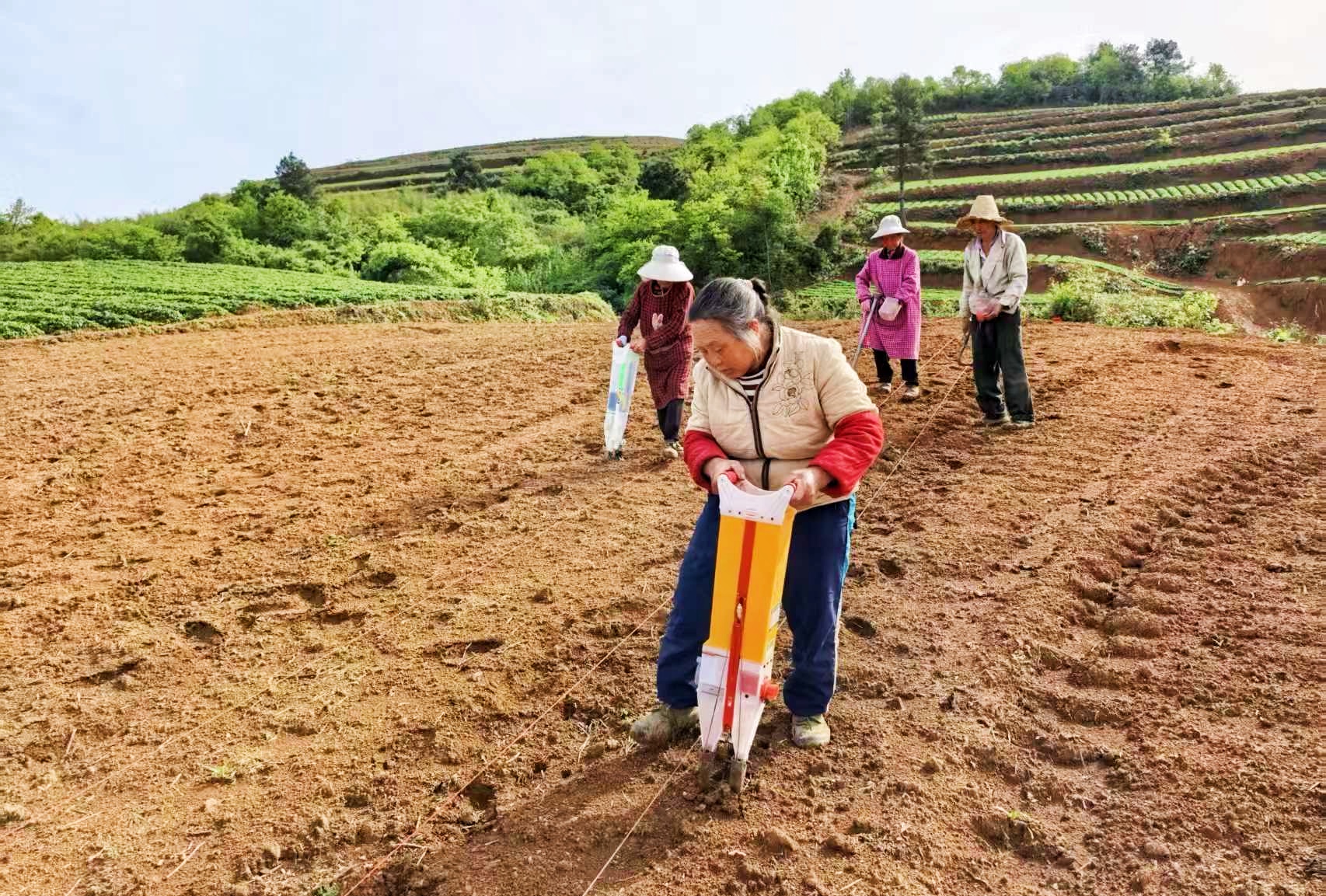 施秉：“豆”“玉”套种春耕忙 一地双收促增收