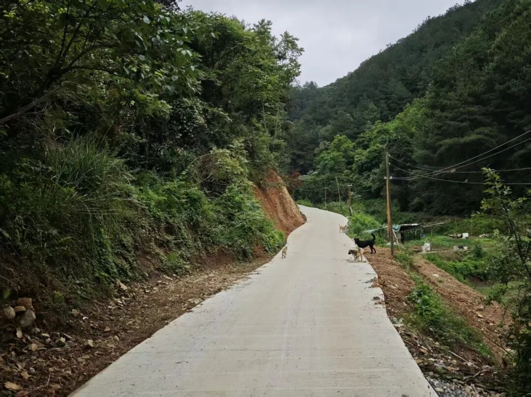 贵阳花溪孟关民族乡：铺就便民路 架起连心桥