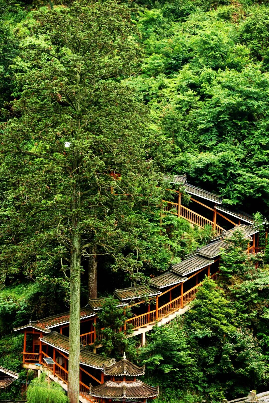 多彩影纪｜藏在雷公山麓的明珠——雷山县乔洛村