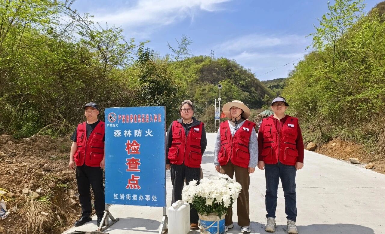 上一篇文章