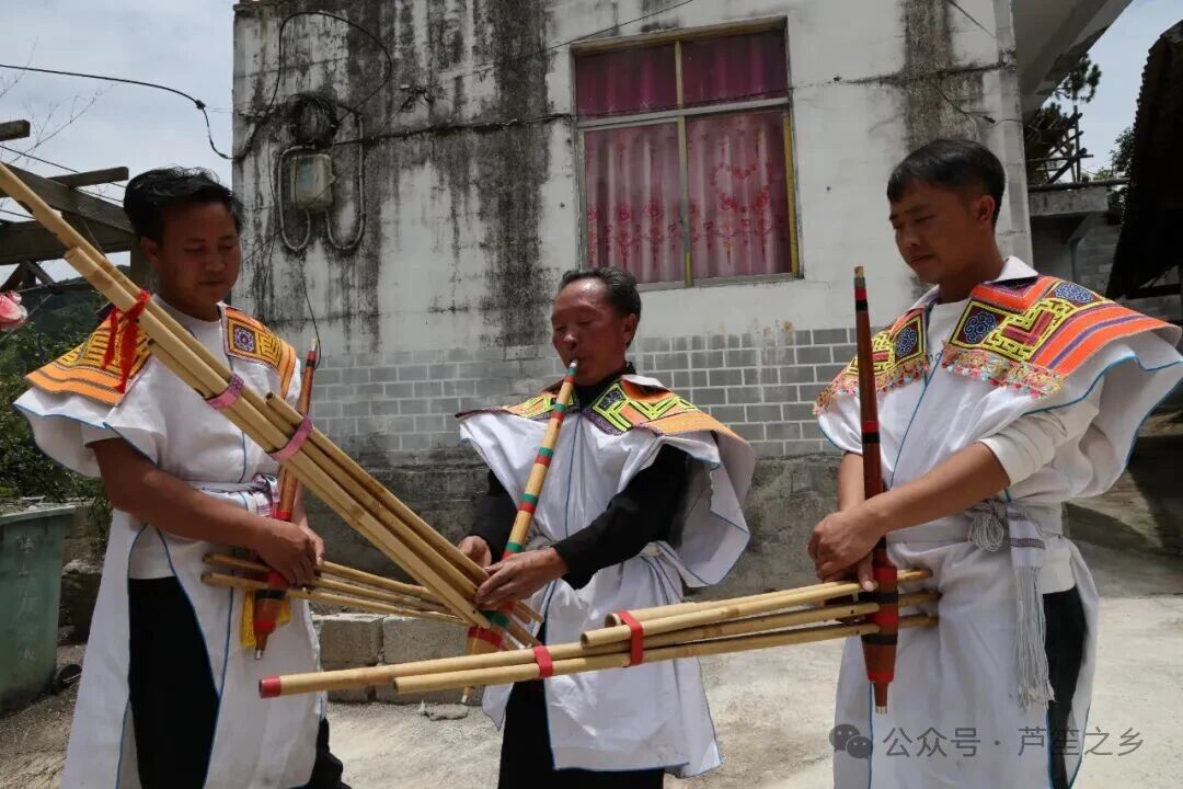上一篇文章