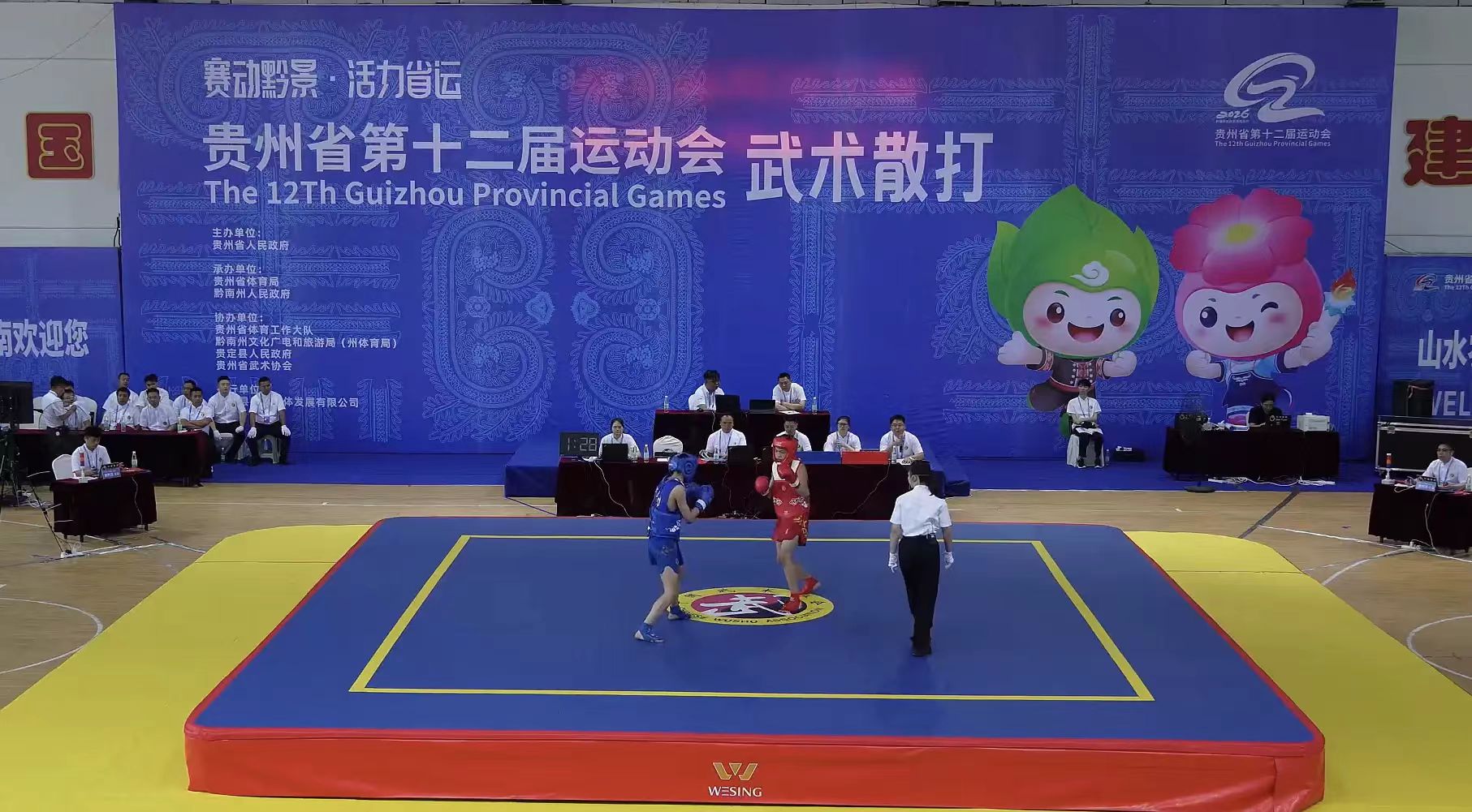 上一篇文章